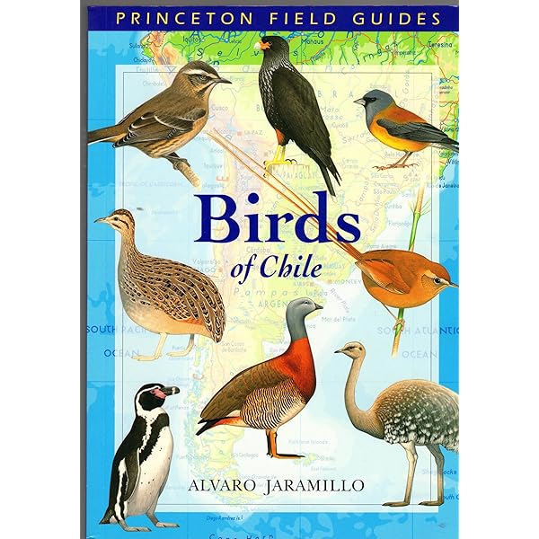 Birds of Patagonia, Tierra Del Fuego and Antarctic Peninsula: The